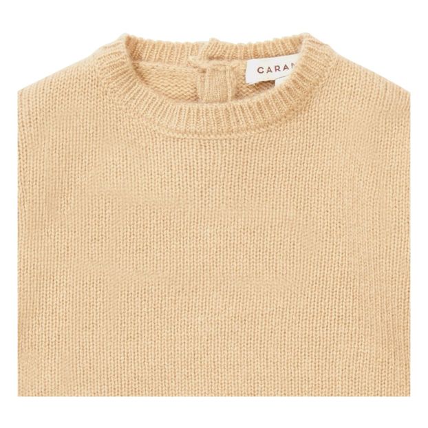 Pull Cachemire Grasshopper-product