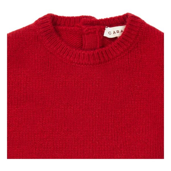Pullover Cachemire Grasshopper -product
