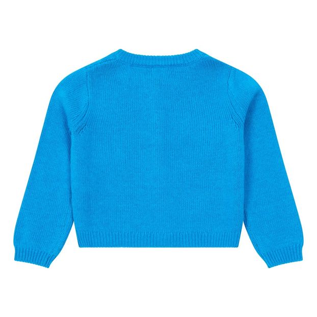 Cardigan Cachemire et Laine Isolde-product