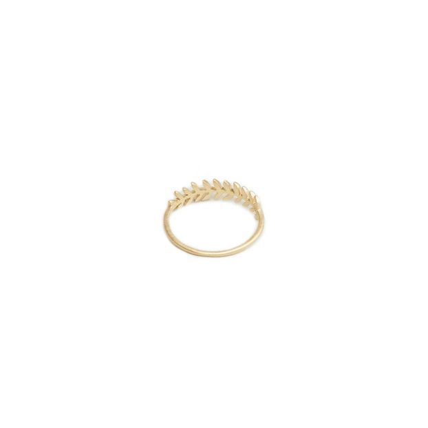 Anillo Ámbar Talismanes Preciosos-product