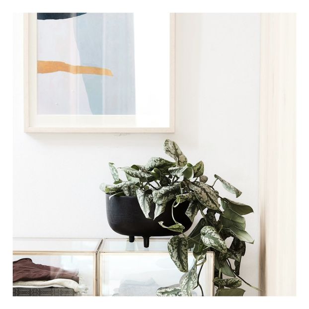 Illustration Artistic et cadre 50x70 cm-product