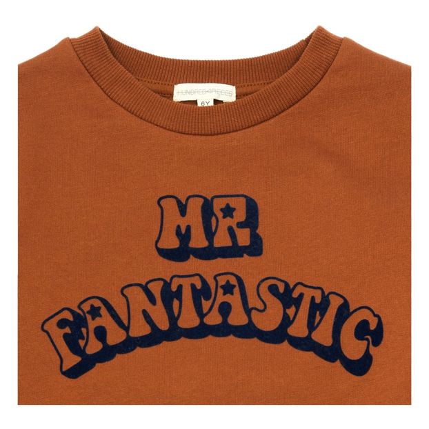 Mr Fantastic Sweatshirt-product