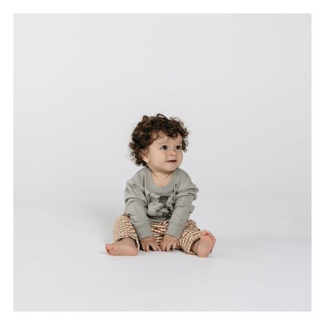Sweat Chouette-product
