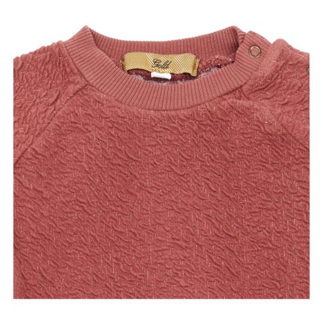 Sweat Coton Bio Silas-product