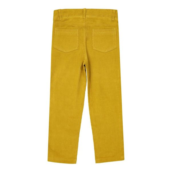Aymar Velvet Trousers-product