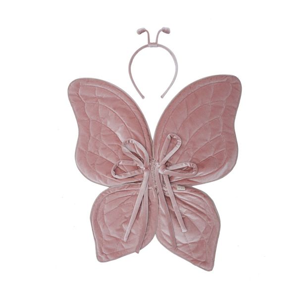 Butterfly Wings-product
