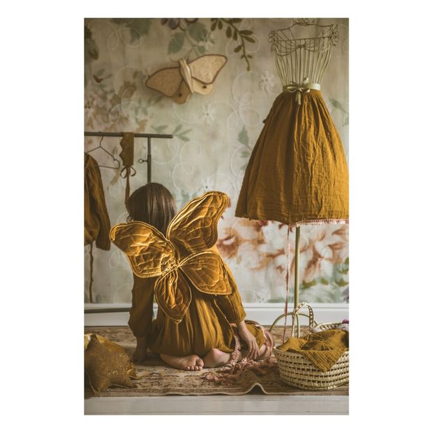 Butterfly Wings-product