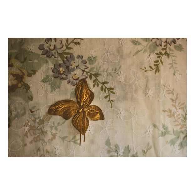 Butterfly Wings-product