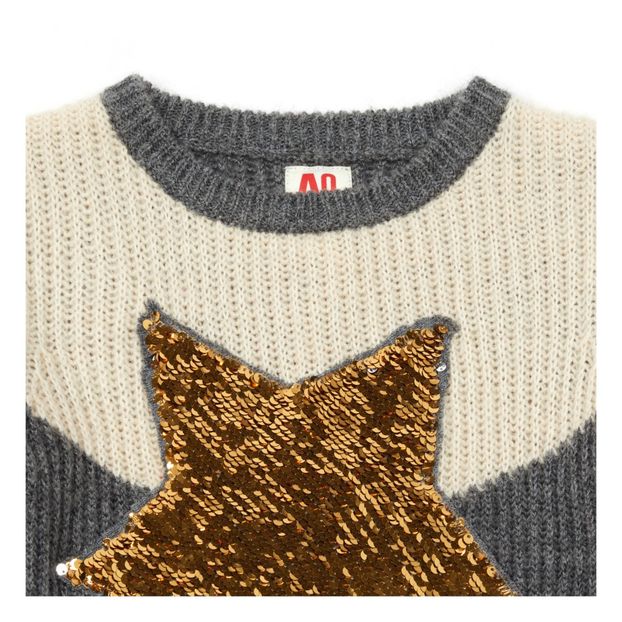 Pull Etoile Sequins-product