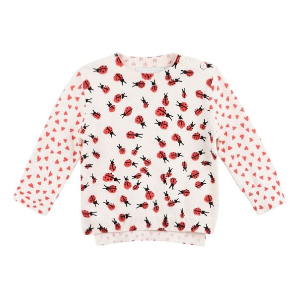 Pull Coton Bio Alex-product