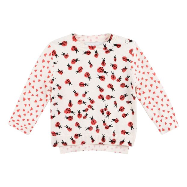 Pull Coton Bio Alex-product