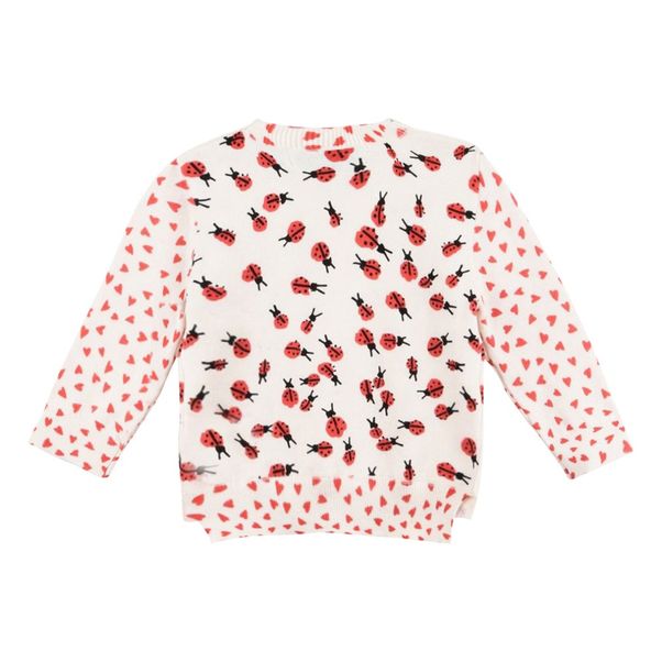 Pull Coton Bio Alex-product