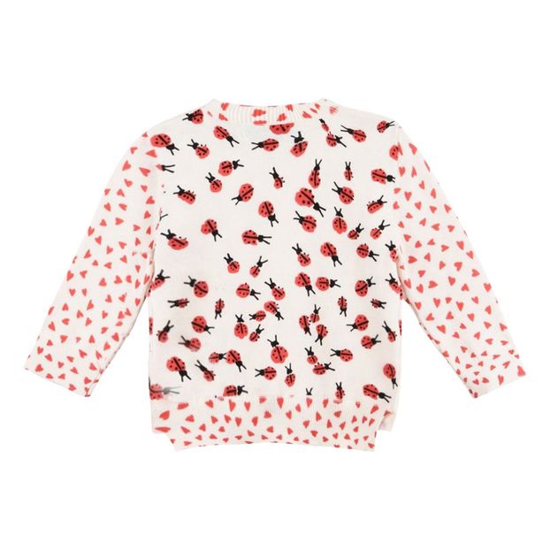 Pull Coton Bio Alex-product