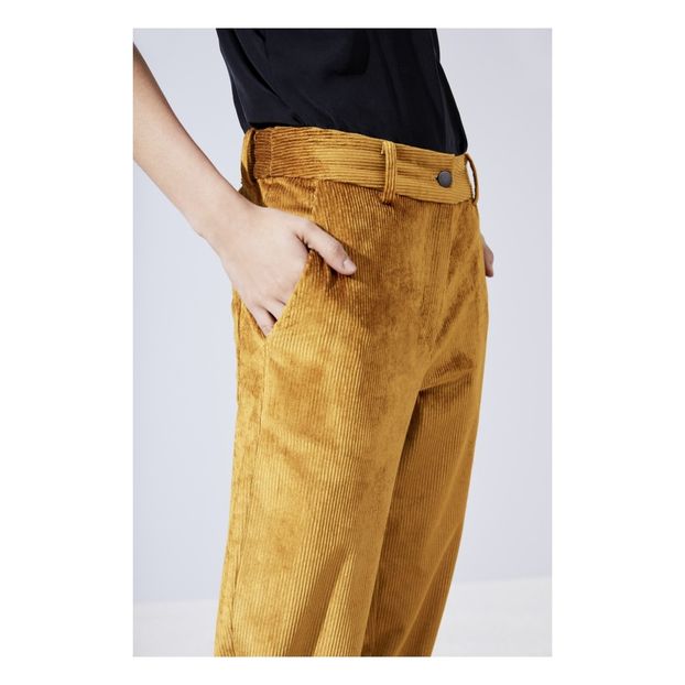 Jarvis Velvet Trousers -product
