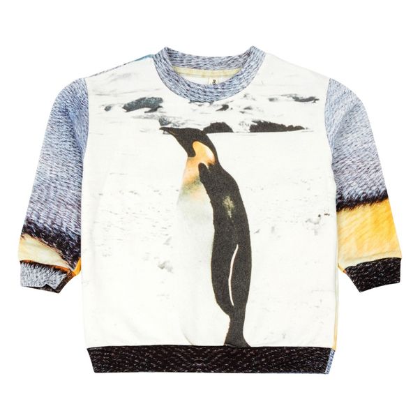 Sweat Coton Bio-product