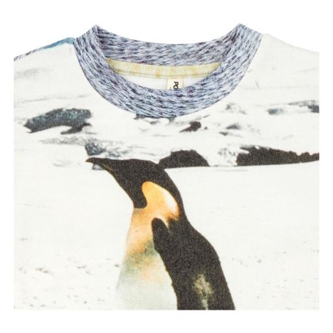 Sweat Coton Bio-product