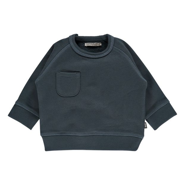 Sweat Coton Bio Poche-product