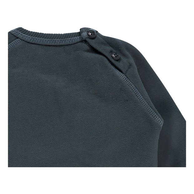 Sweat Coton Bio Poche-product