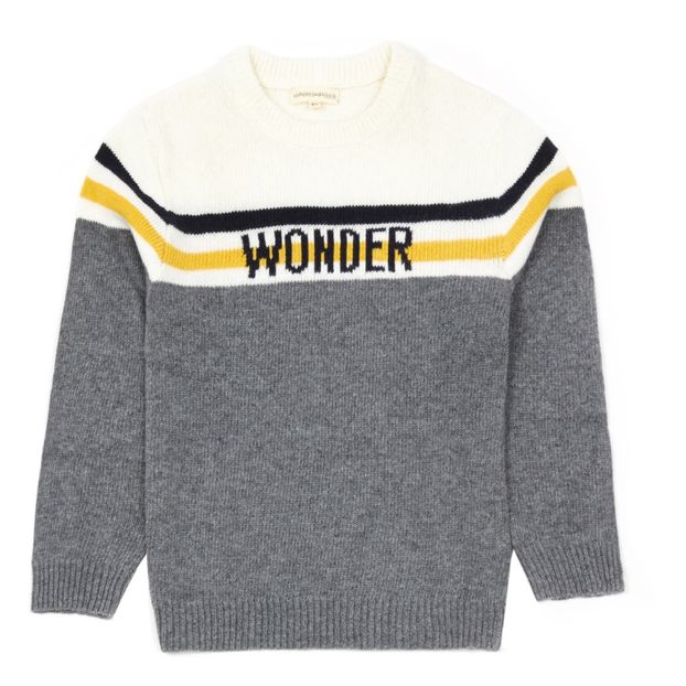 Pullover Wonder-product