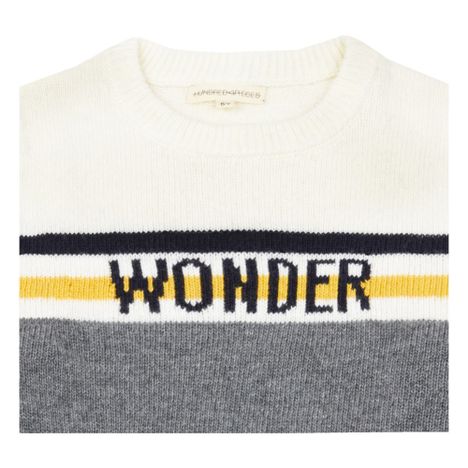 Wonder Jumper-product