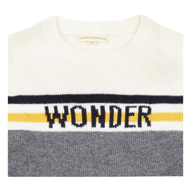 Pullover Wonder-product