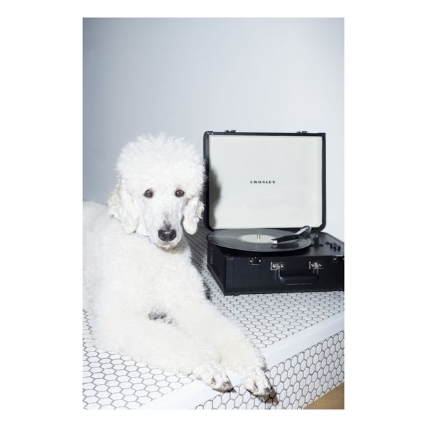 Platine vinyle Crosley Portfolio-product