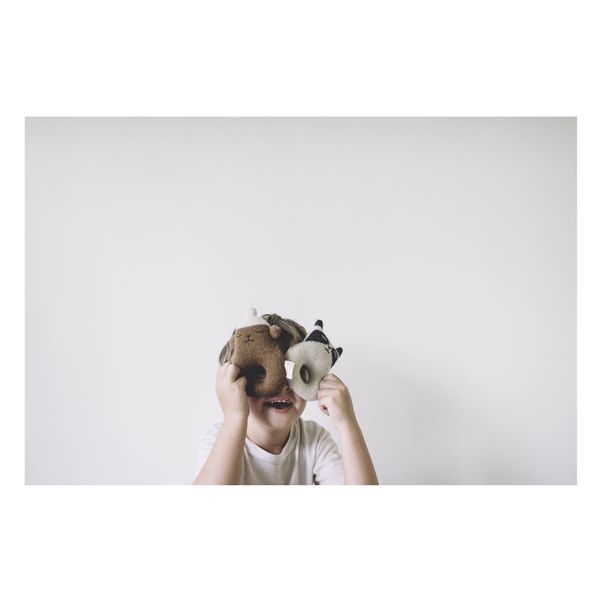 Rassel Waschbär -product