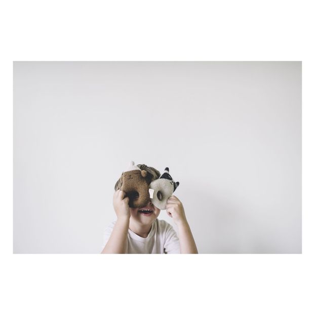 Hochet Ourson-product