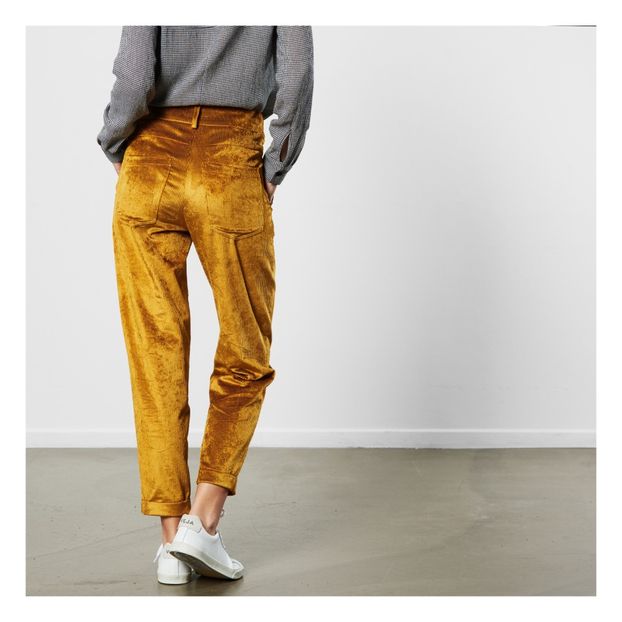 Jarvis Velvet Trousers -product