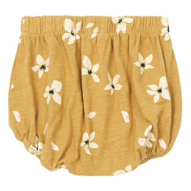 Bloomer Hibiscus-product