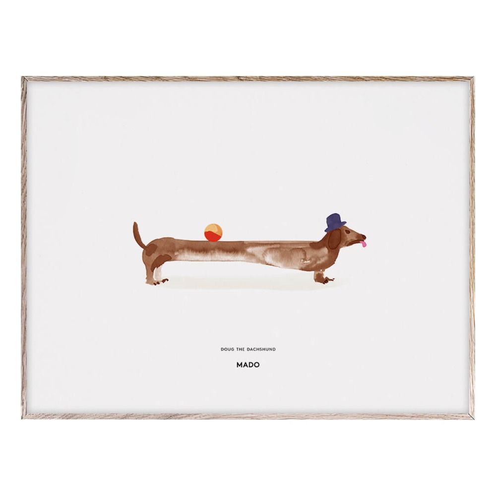 Doug the Dachshund Poster 40x30 cm- Product image n°0