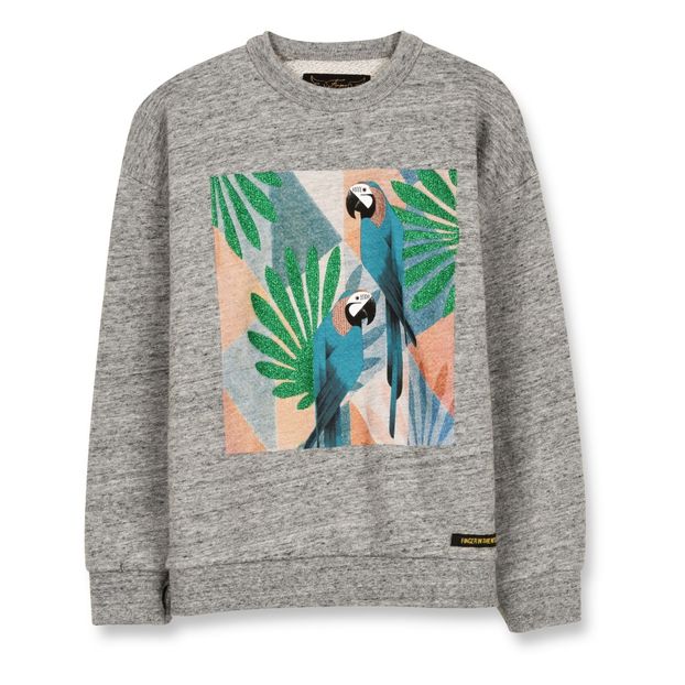 Turner Parrots sweatshirt-product
