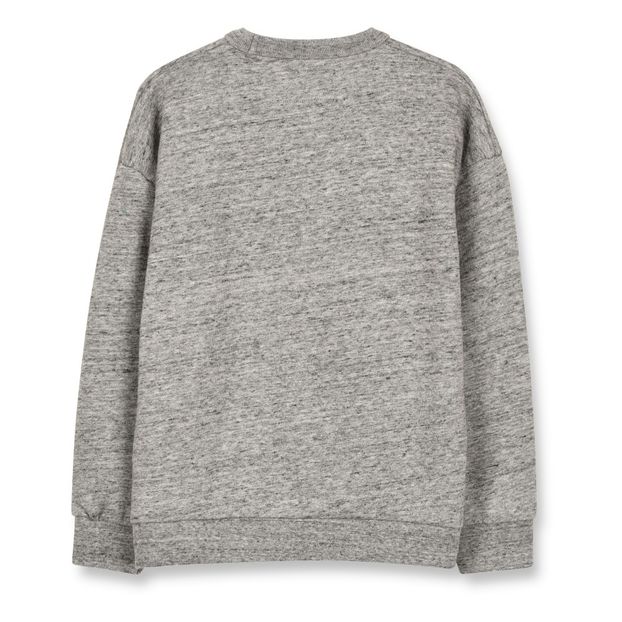 Turner Parrots sweatshirt-product