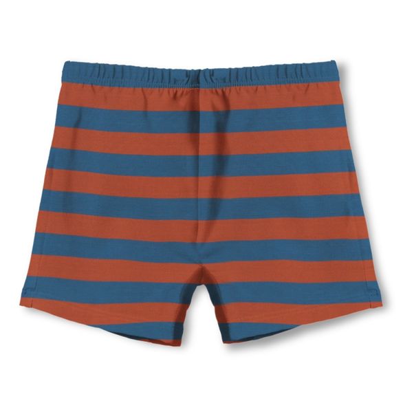 Striped Swimming Trunks -product