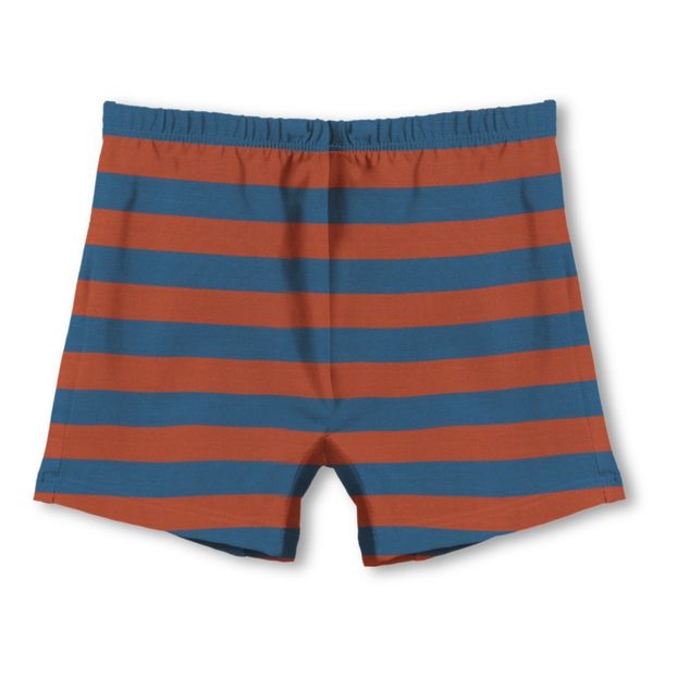 Striped Swimming Trunks -product