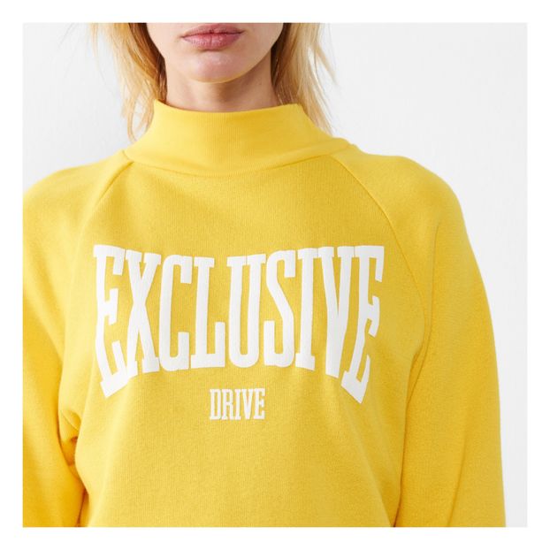 Alvin sweatshirt-product