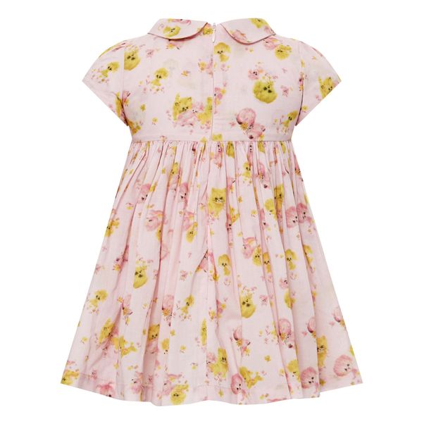 Robe Darling-product