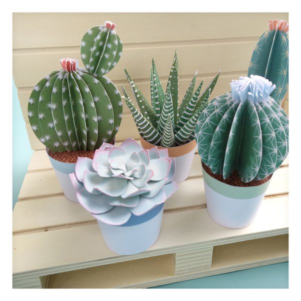 Maquette en papier - Les petits cactus-product