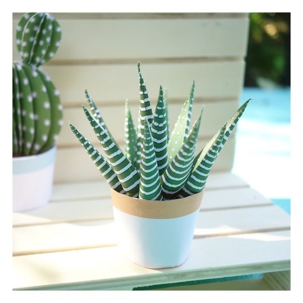 Maquette en papier - Les petits cactus-product