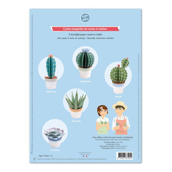 Maquette en papier - Les petits cactus-product