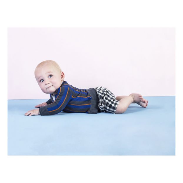 North Carolina Organic Cotton Shorts -product