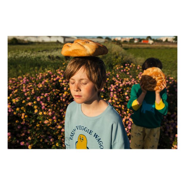 Paul's organic cotton sweatshirt-product
