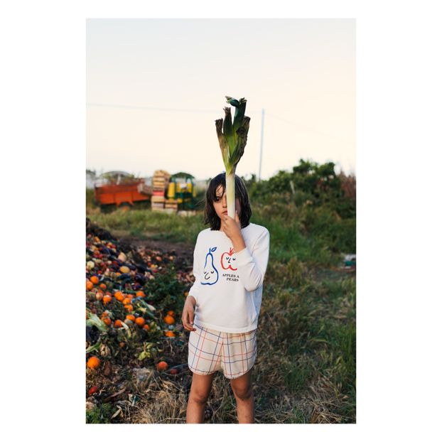 Sudadera Algodón Biológico Manzana Pera-product