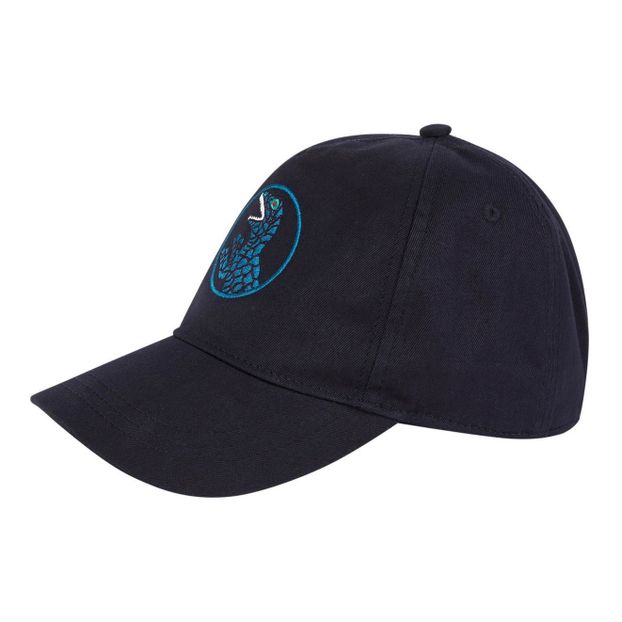 Dino cap-product