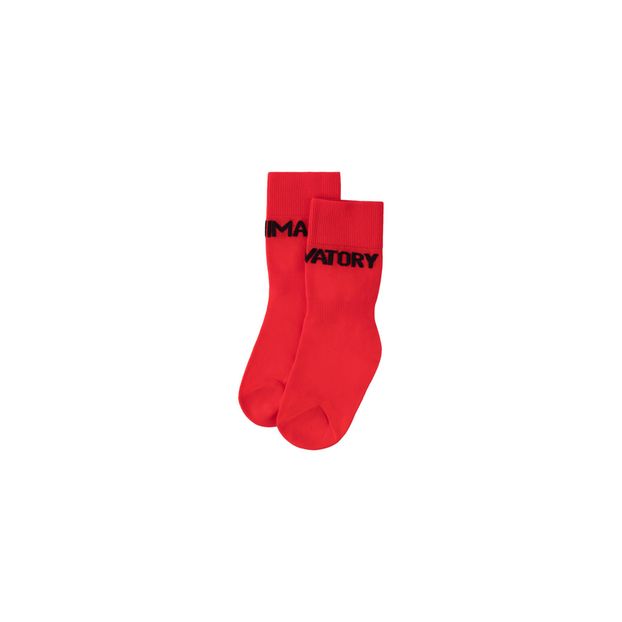 Chaussettes Worm-product