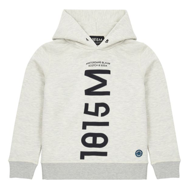 Sudadera Capucha Estampado-product