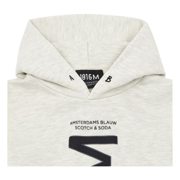 Sudadera Capucha Estampado-product