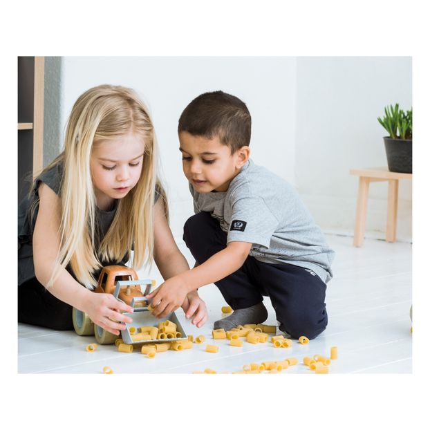 Bioplastic toy truck-product