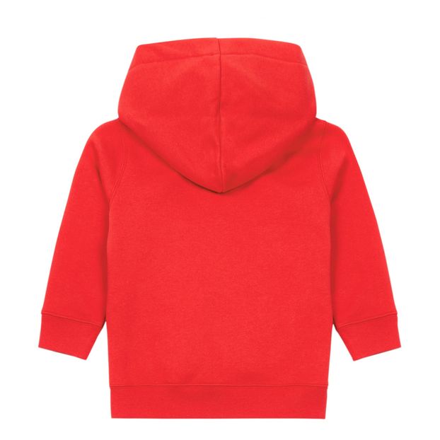 Sweat Capuche Mini Ferris-product