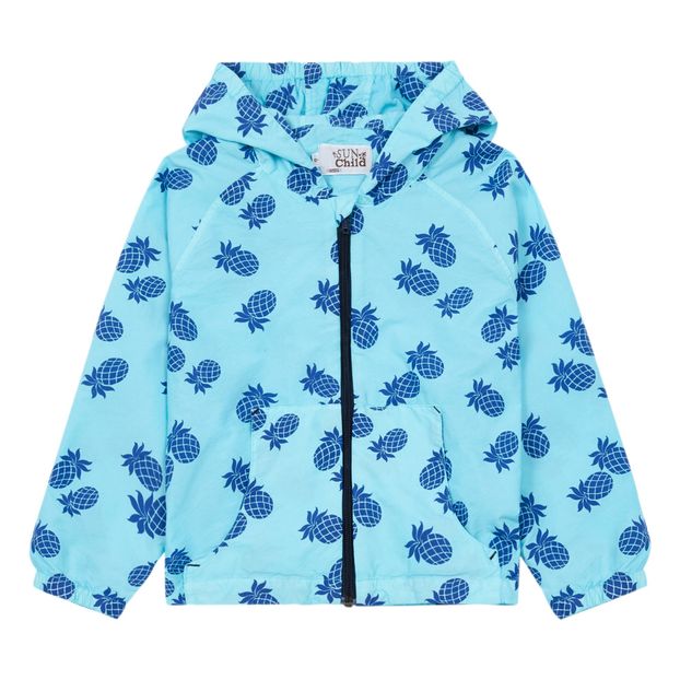 Coupe Vent Hol Box Ananas-product